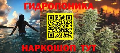 метадон Владимир