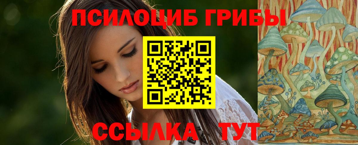 Псилоцибиновые грибы мухоморы  Вход с VPN  Каменка 