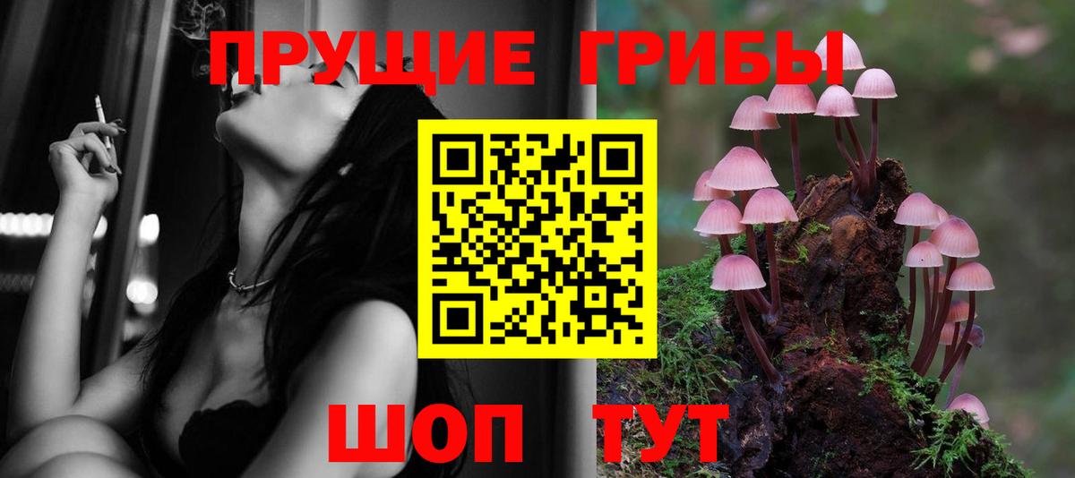Галлюциногенные грибы Cubensis Каменка