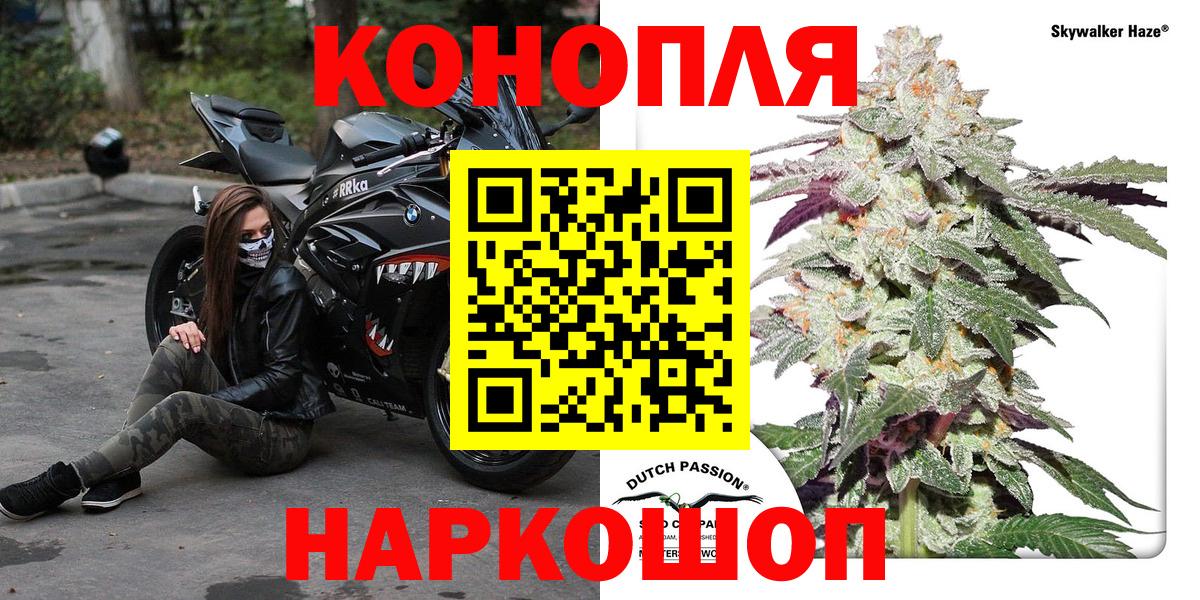 Бошки марихуана семена  Вход с VPN  МАРИХУАНА ГИДРОПОН  Марихуана AK-47  Канабис OG Kush  Каменка 